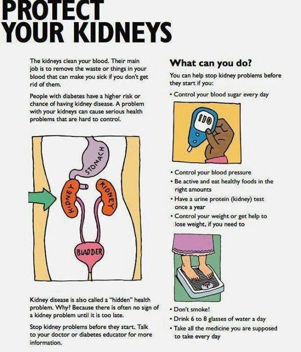 17 Best images about Urinary System Nursing on Pinterest