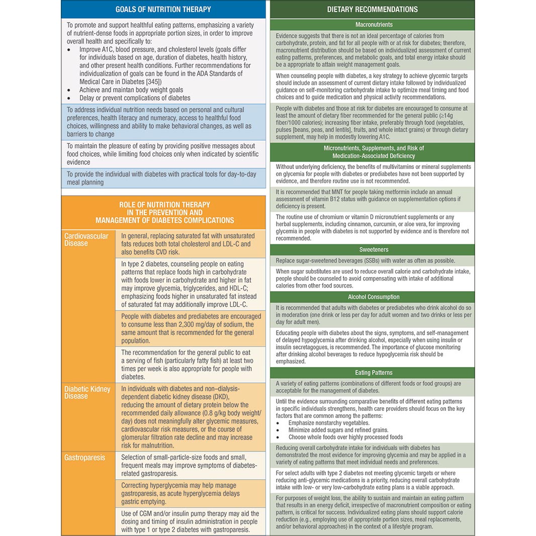 2020 Nutrition Therapy Consensus Guidelines Pocket Chart  ShopDiabetes ...
