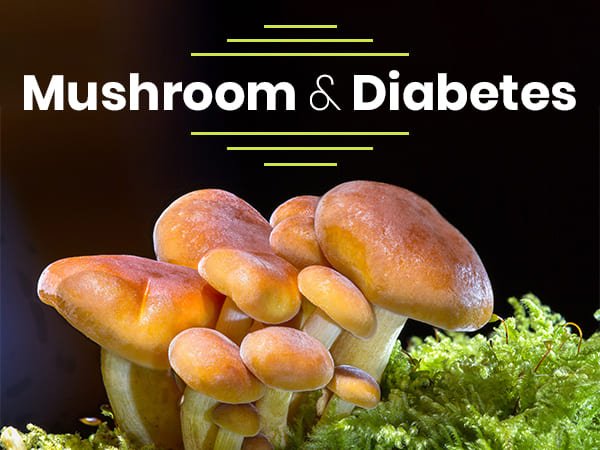 Are Mushrooms Good For Diabetes?