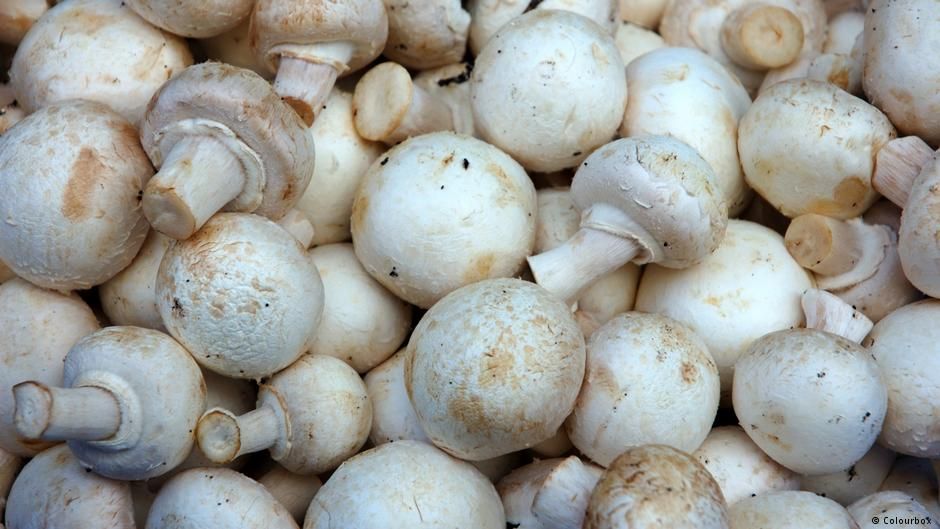 Are Mushrooms Good For Type 2 Diabetes