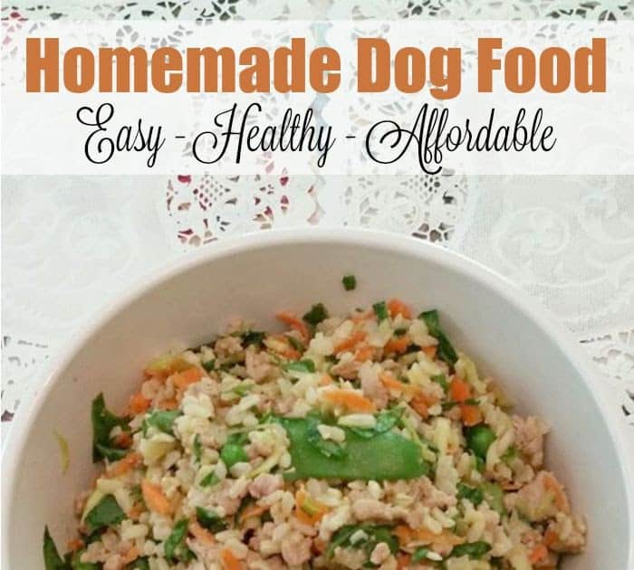 Best Homemade Food For Diabetic Dogs