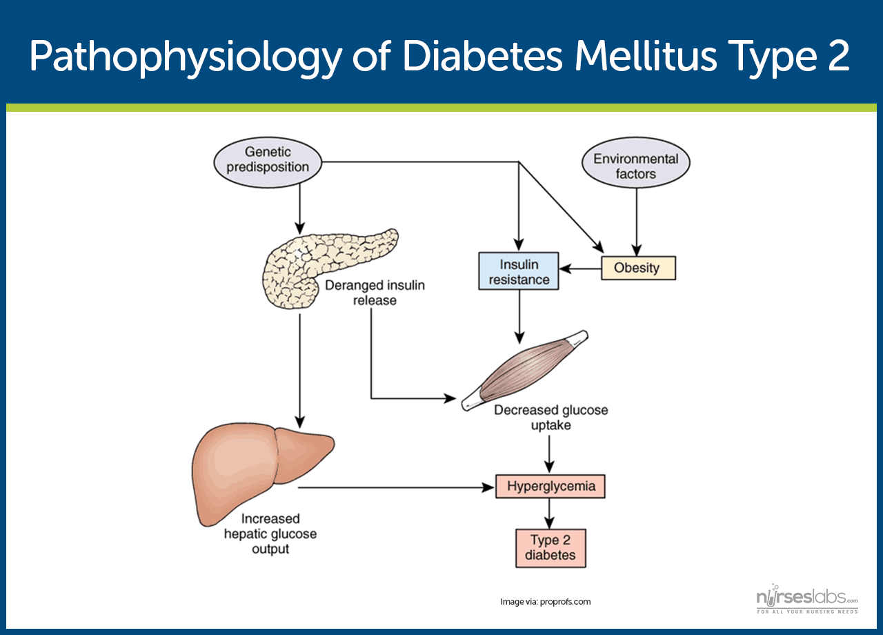 Diabetes Mellitus: Nursing Care Management