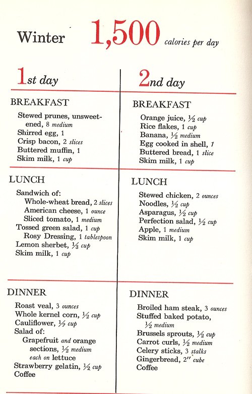 Diet Plan For 1000 Calories A Day