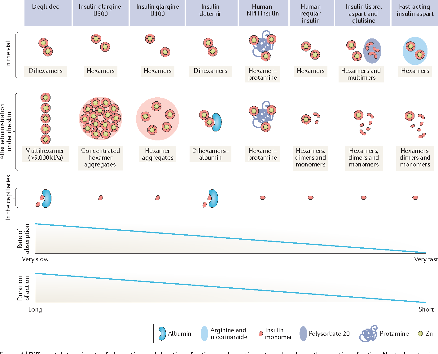 Figure 1 from Insulin analogues in type 1 diabetes ...