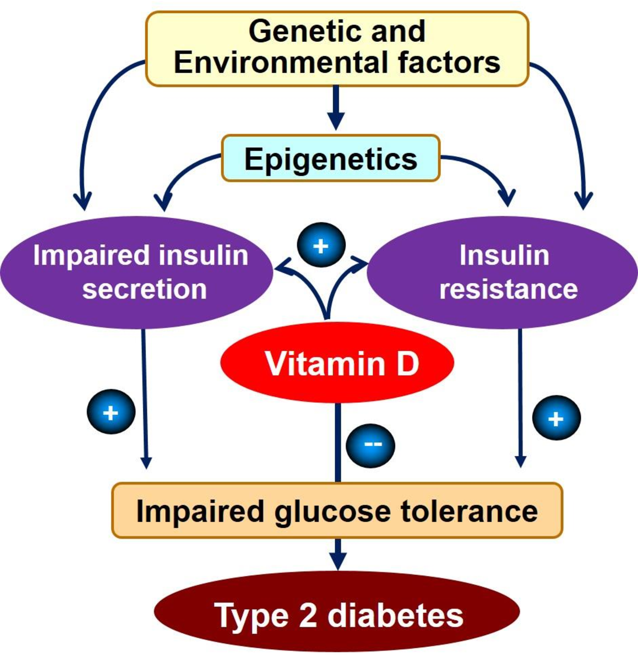 Figure 5 from Associations of vitamin D with insulin resistance ...