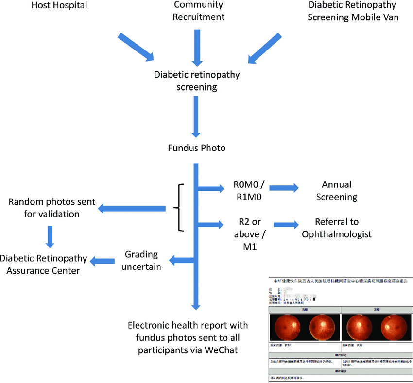 Flow chart of diabetic retinopathy screening.