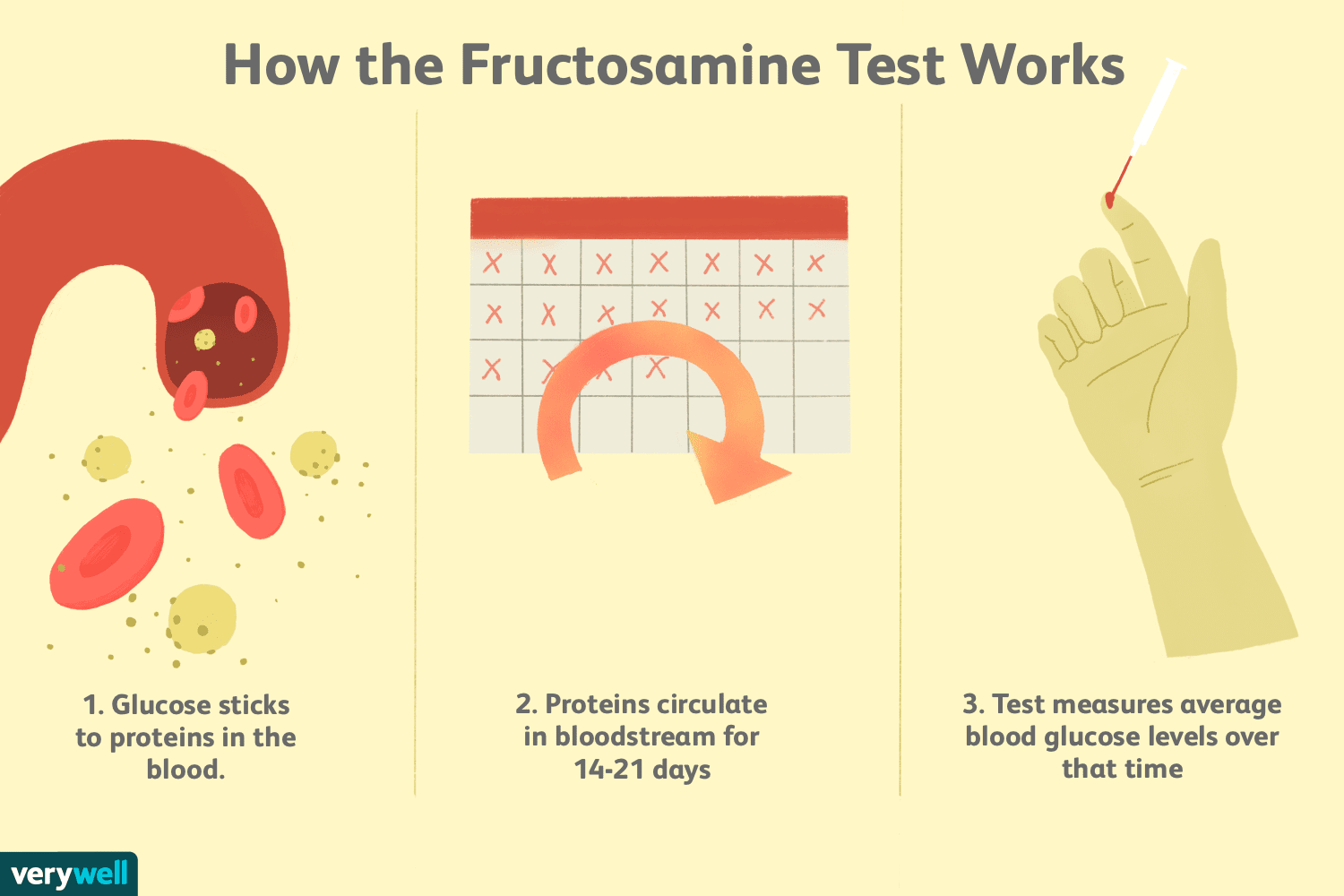 Fructosamine Blood Glucose Level Test for Diabetes