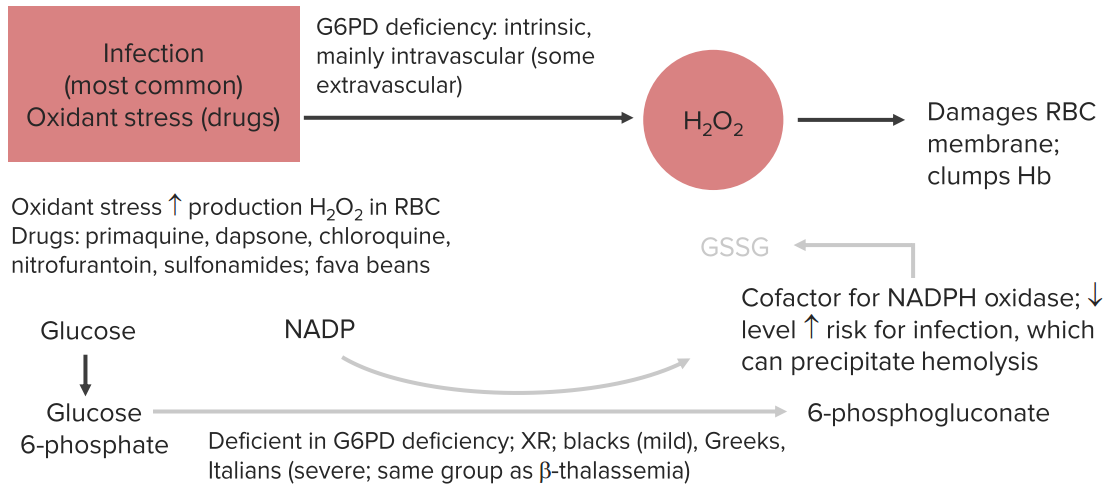 G6PD Deficiency (Glucose