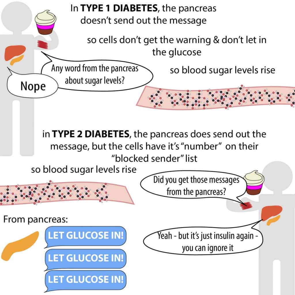 how does insulin work in type 2 diabetes  Bnr.Co