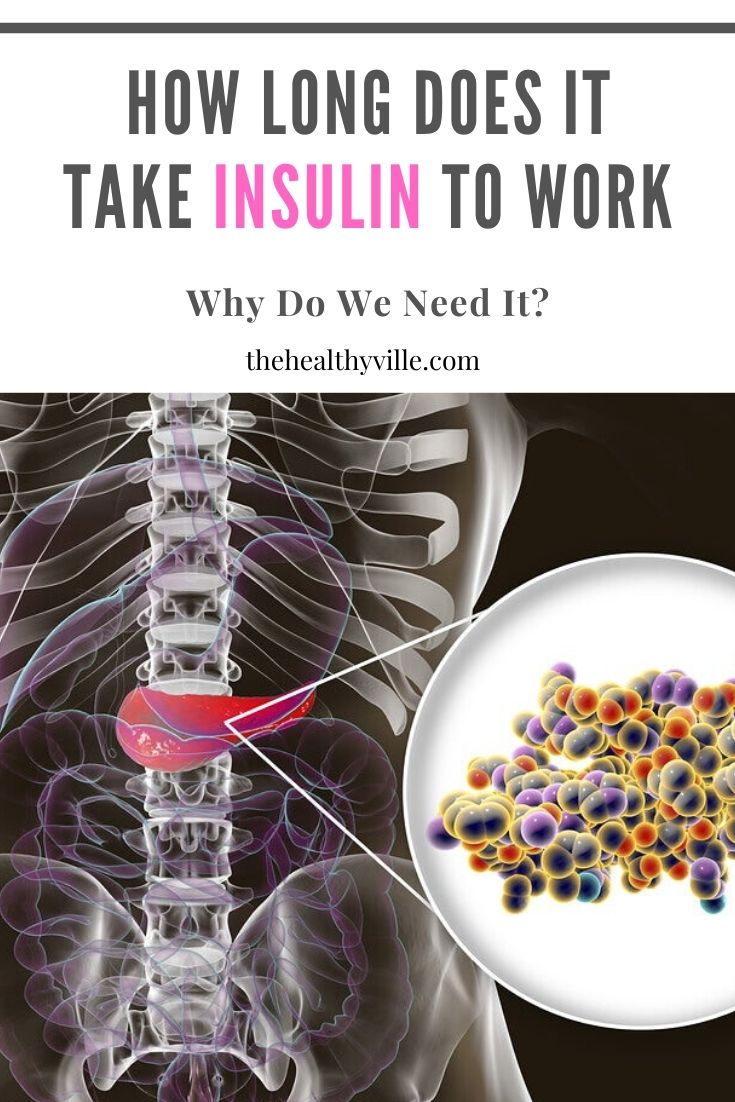 How Long Does It Take Insulin to Work and Why Do We Need It?