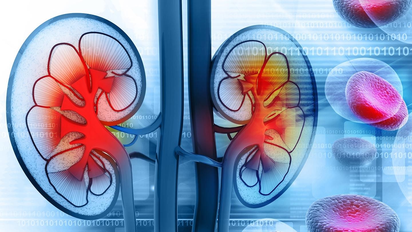 How to Help Prevent Kidney Disease When You Have Diabetes