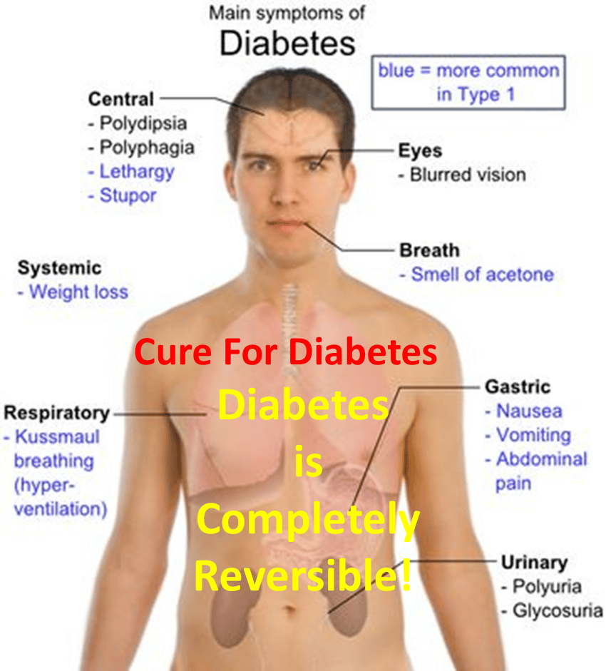 How to Reverse Diabetes