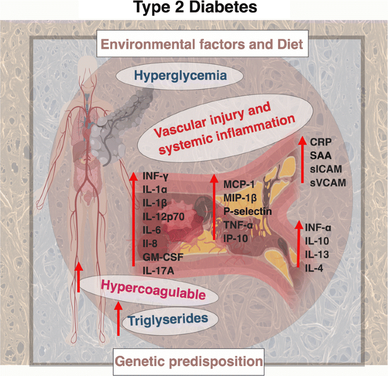 Inflammatory cytokines in type 2 diabetes mellitus as facilitators of ...