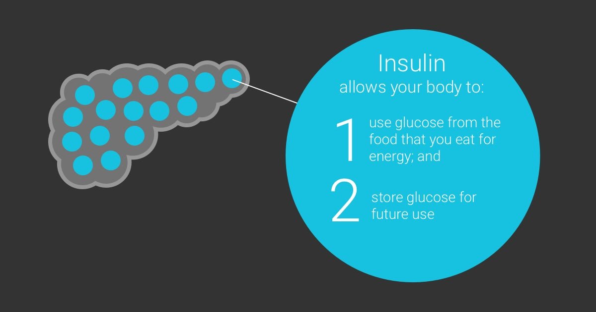 Insulin: What is it? How does it work? Why Do We Need It?