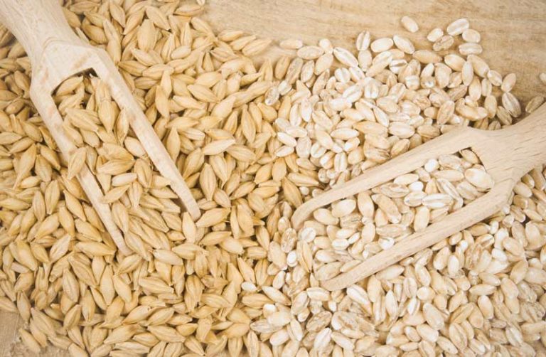 Is Barley Good For Diabetes?