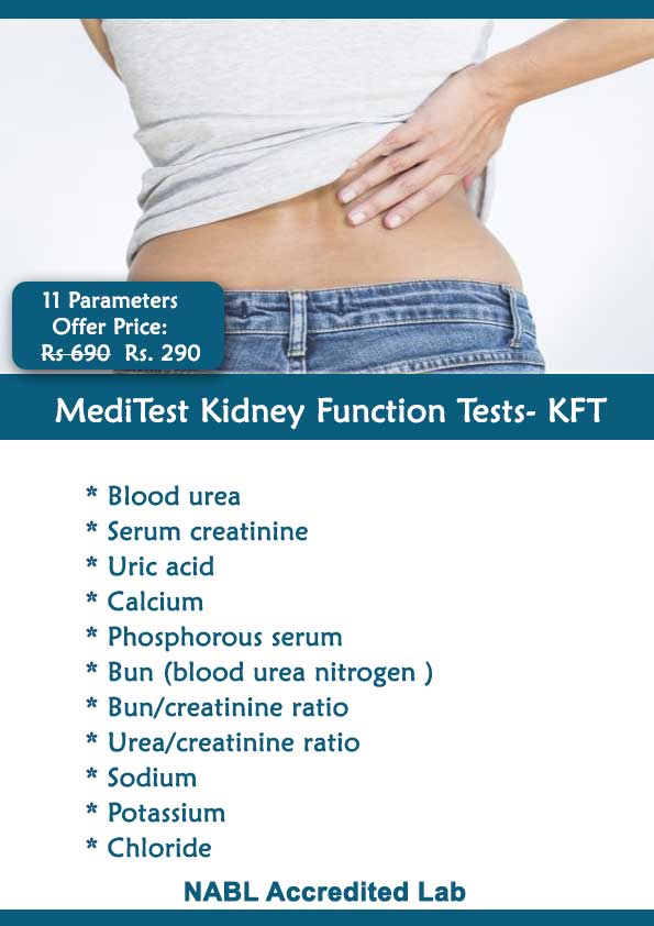 Kidney Function Test