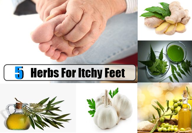 Possible cure for diabetes found, dry itchy feet home remedy
