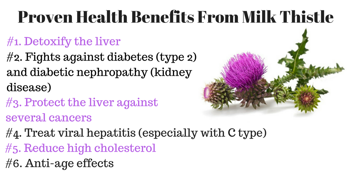 Proven Health Benefits From Milk Thistle