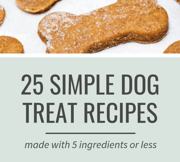 Recipes For Diabetic Dog Treats And Meals / Can I Safely Feed My ...