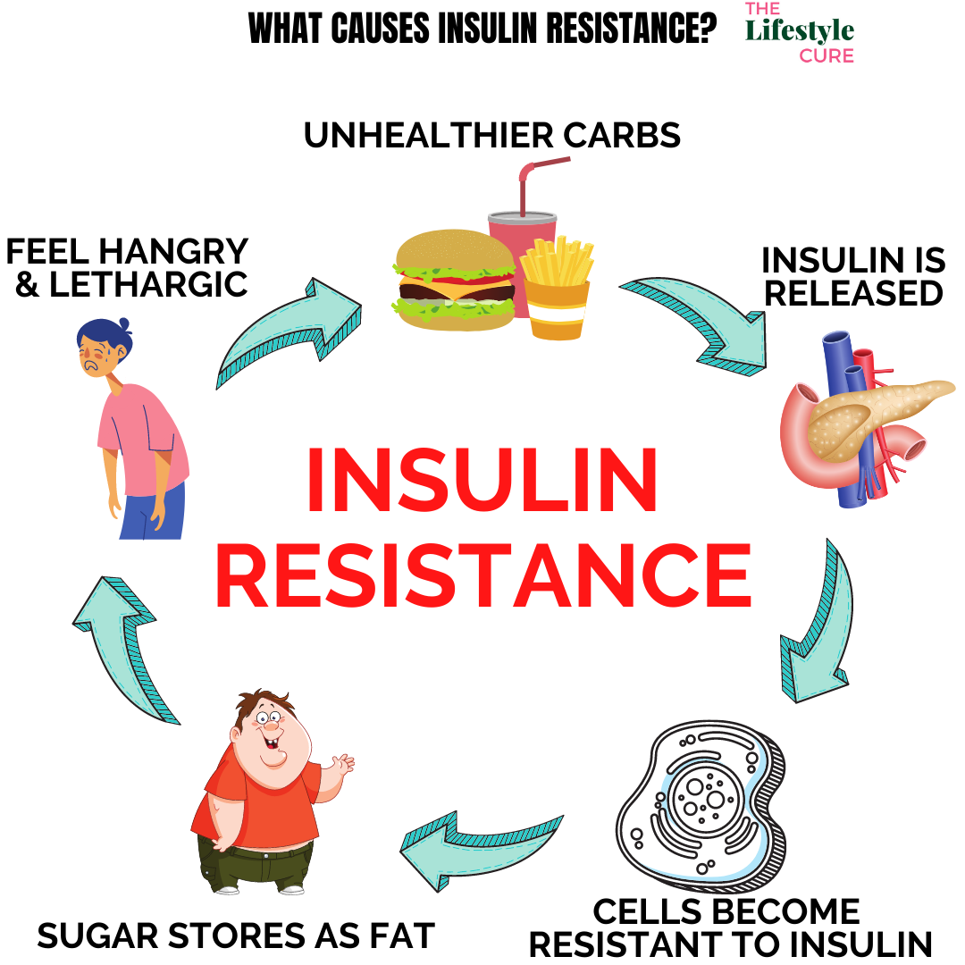 The Diet to Reverse Insulin Resistance