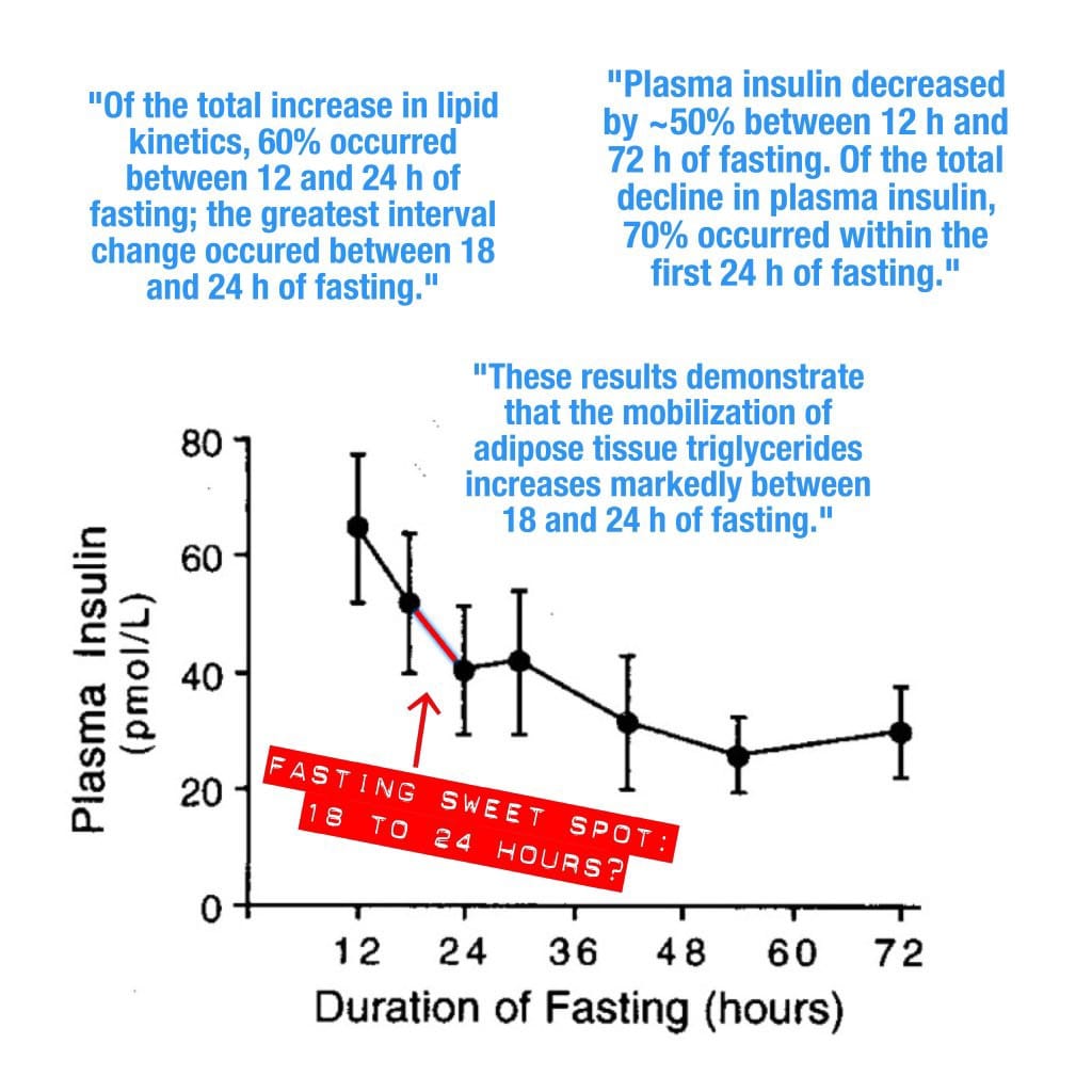 The Sweet Spot for Intermittent Fasting