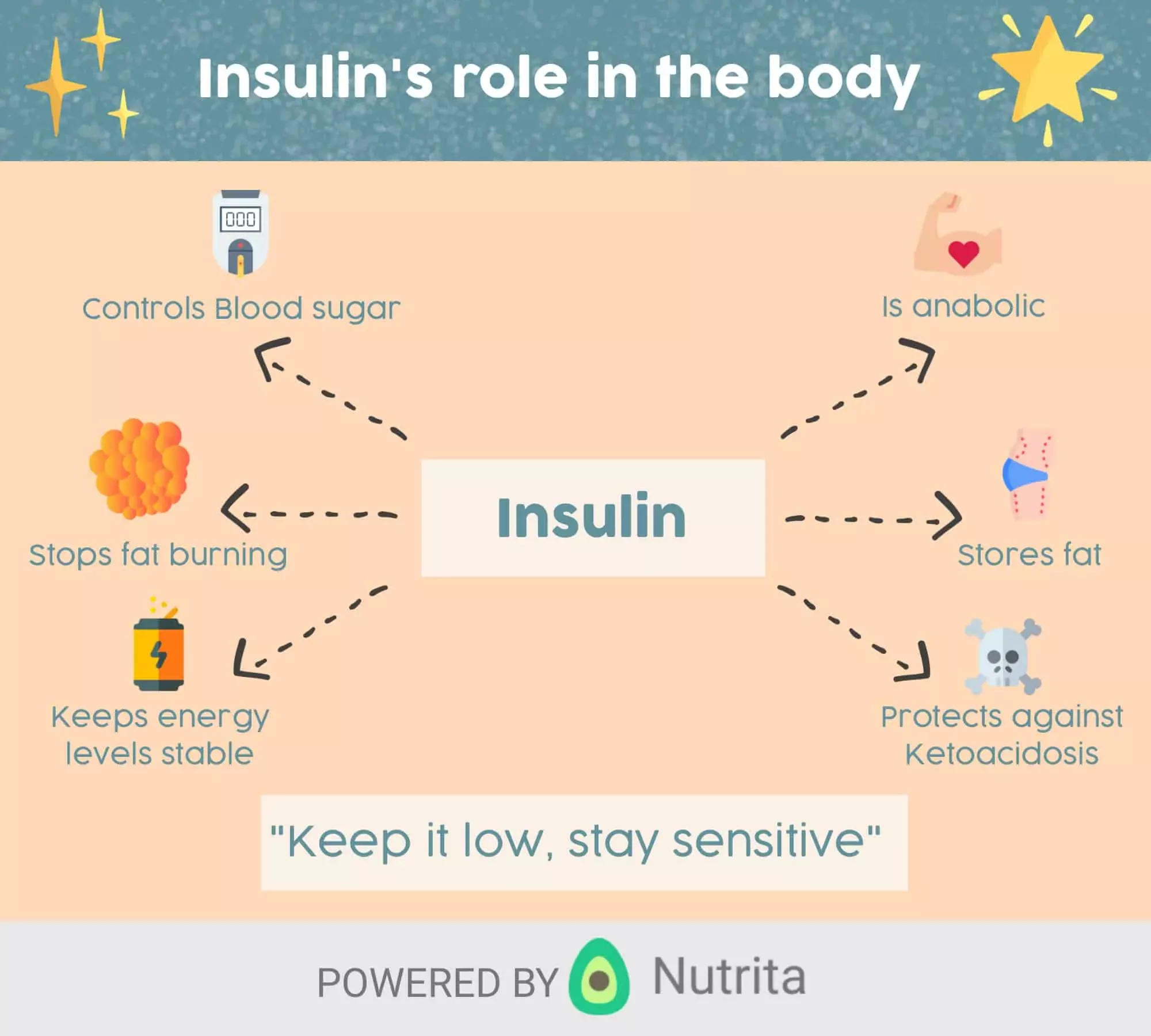 The ultimate Guide to Insulin, Insulin resistance and more ...