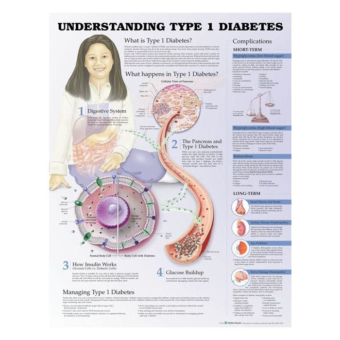 Understanding Type 1 Diabetes Chart