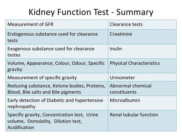What is kidney function test?