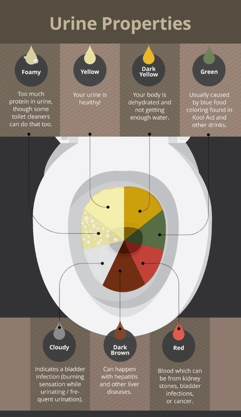 What Your Poop And Pee Say About You